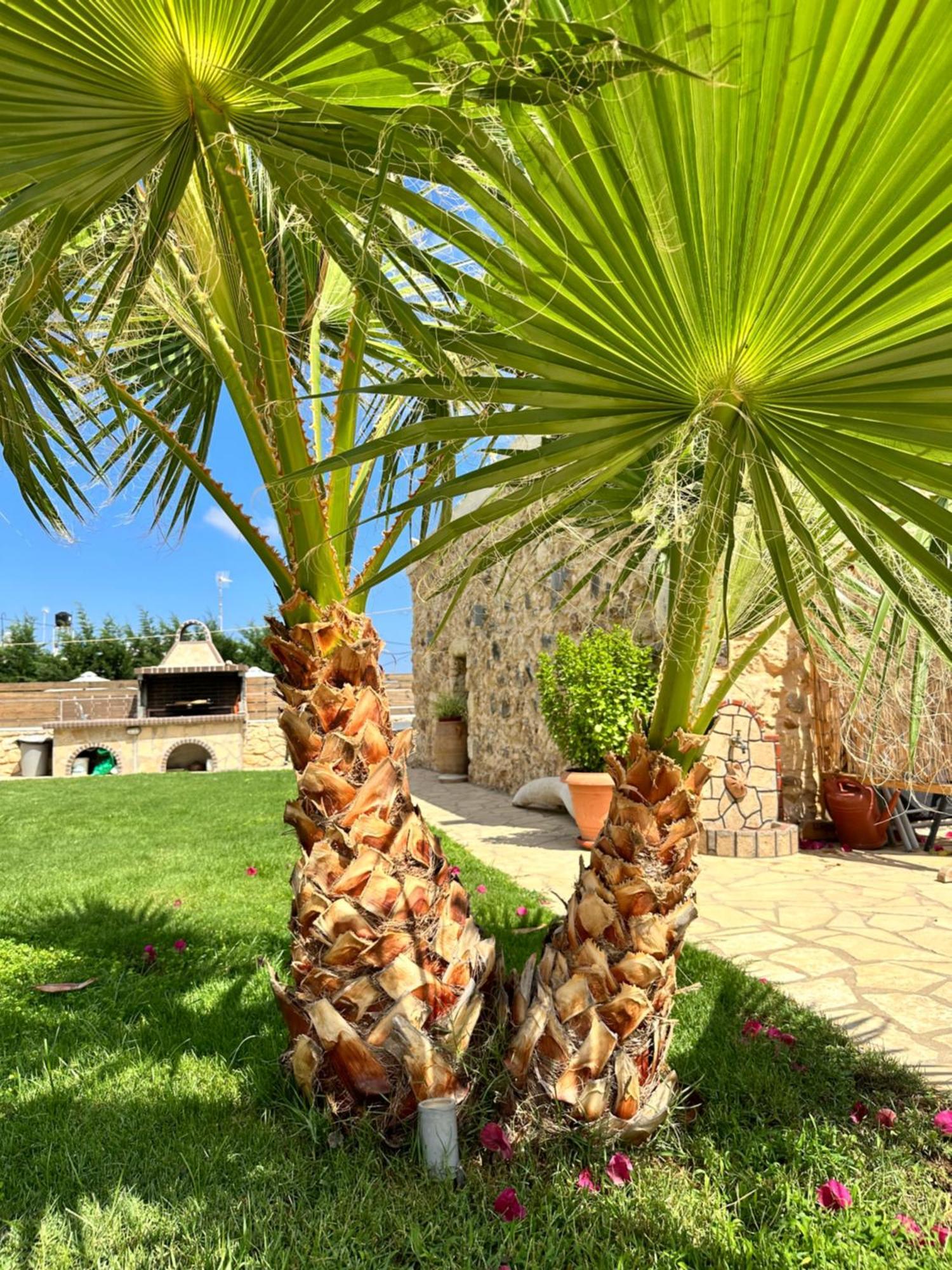 Villa Bio Garden Stonehouse Gonia Exterior foto