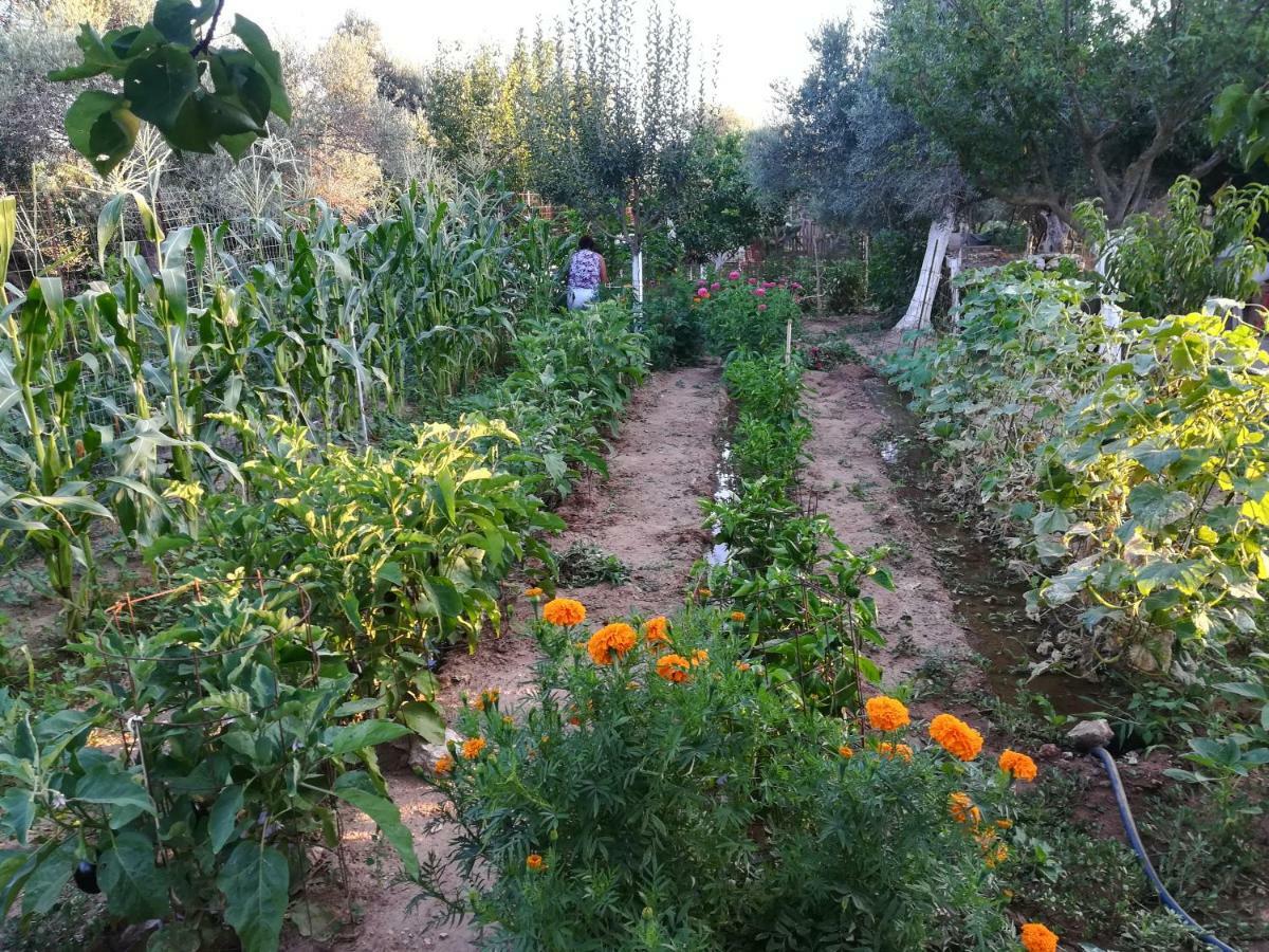 Villa Bio Garden Stonehouse Gonia Exterior foto